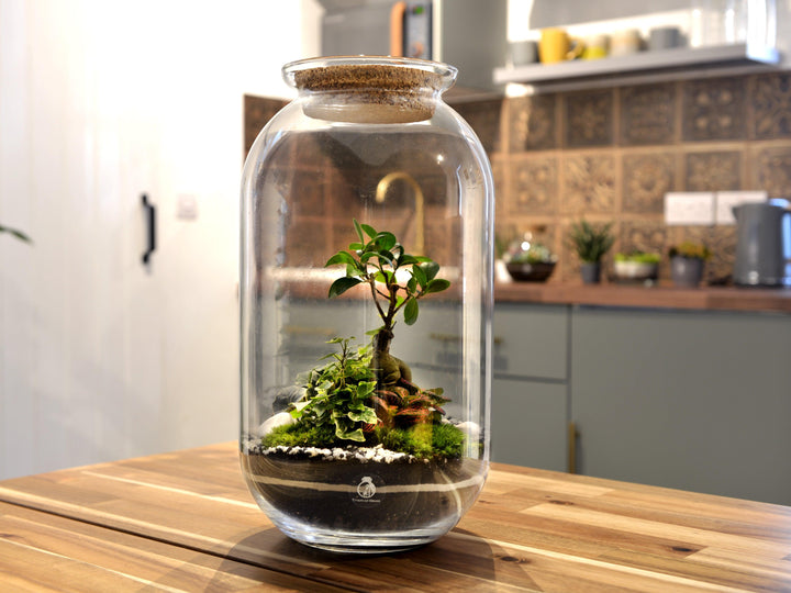 Glass Terrarium Jar 42 cm with Cork Lid | Tall Container | Handmade - Tropical Glass