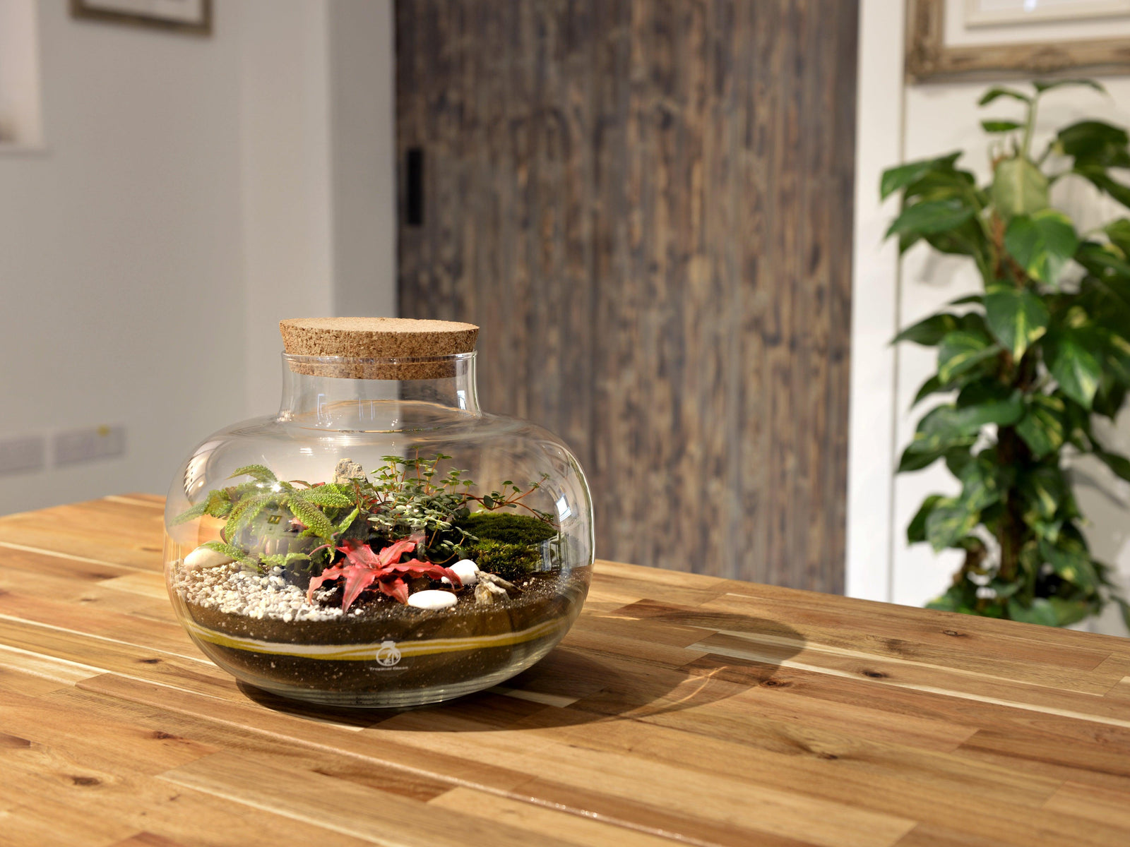 A beautifully arranged terrarium sits on a wooden table, showcasing various small plants, decorative stones, and a layer of soil within a clear glass jar topped with a cork lid.