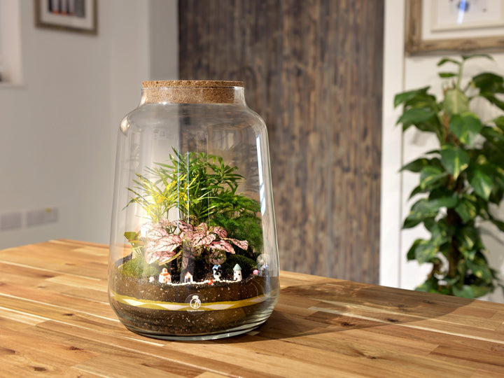 Closed DIY Terrarium Kit with 35cm Jar 'Pisa' | Lantern Shape - Tropical Glass