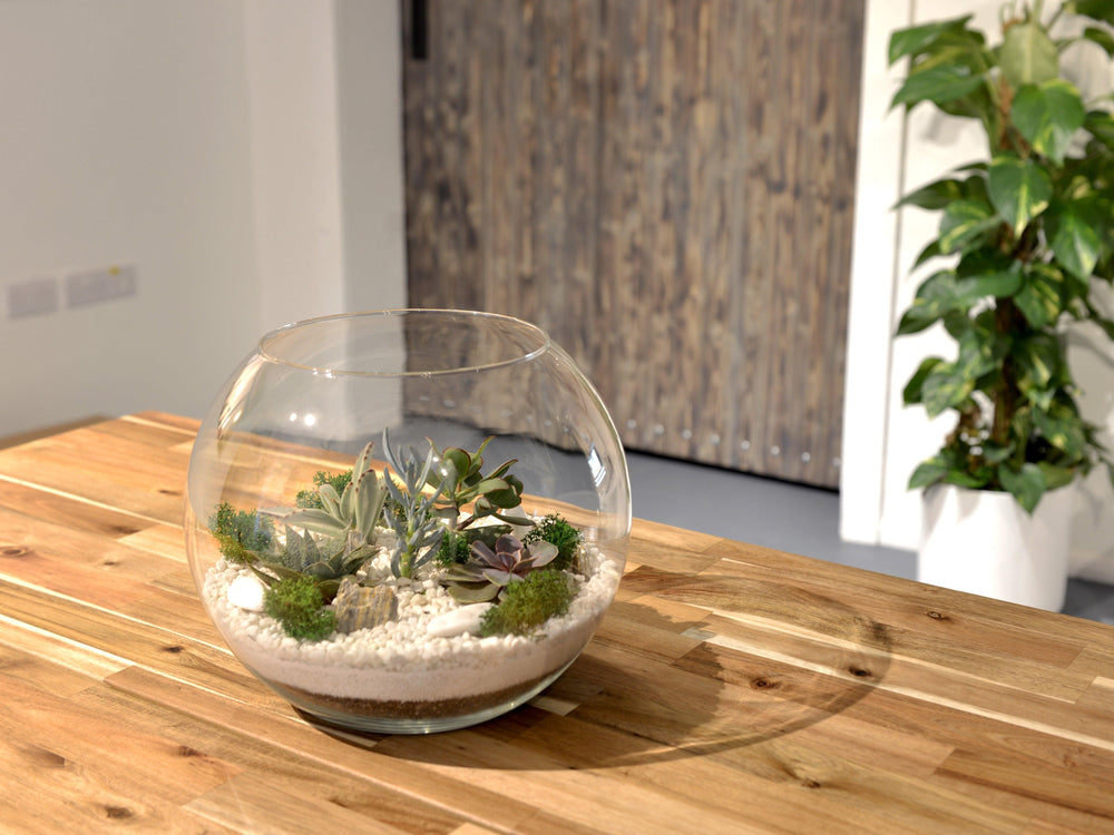 Large Fish Bowl Glass | H 25 cm - Tropical Glass