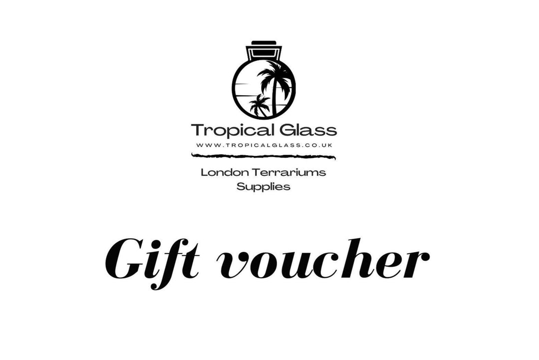 Gift Card - Tropical Glass