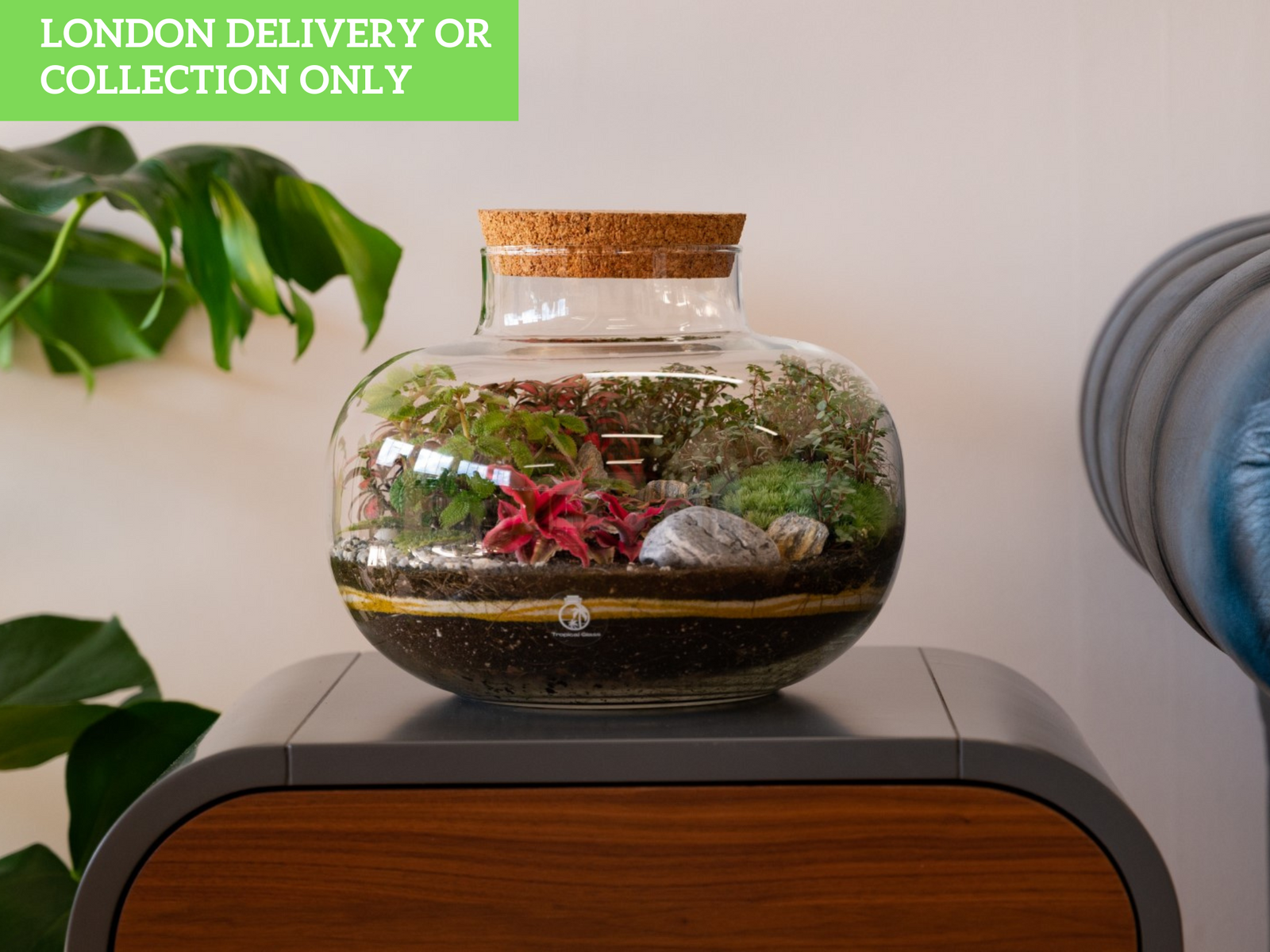 A beautifully arranged glass terrarium sits atop a modern wooden table, showcasing vibrant plants including Fittonia and Pilea, along with decorative stones and moss. A green sign above reads LONDON DELIVERY OR COLLECTION ONLY.
