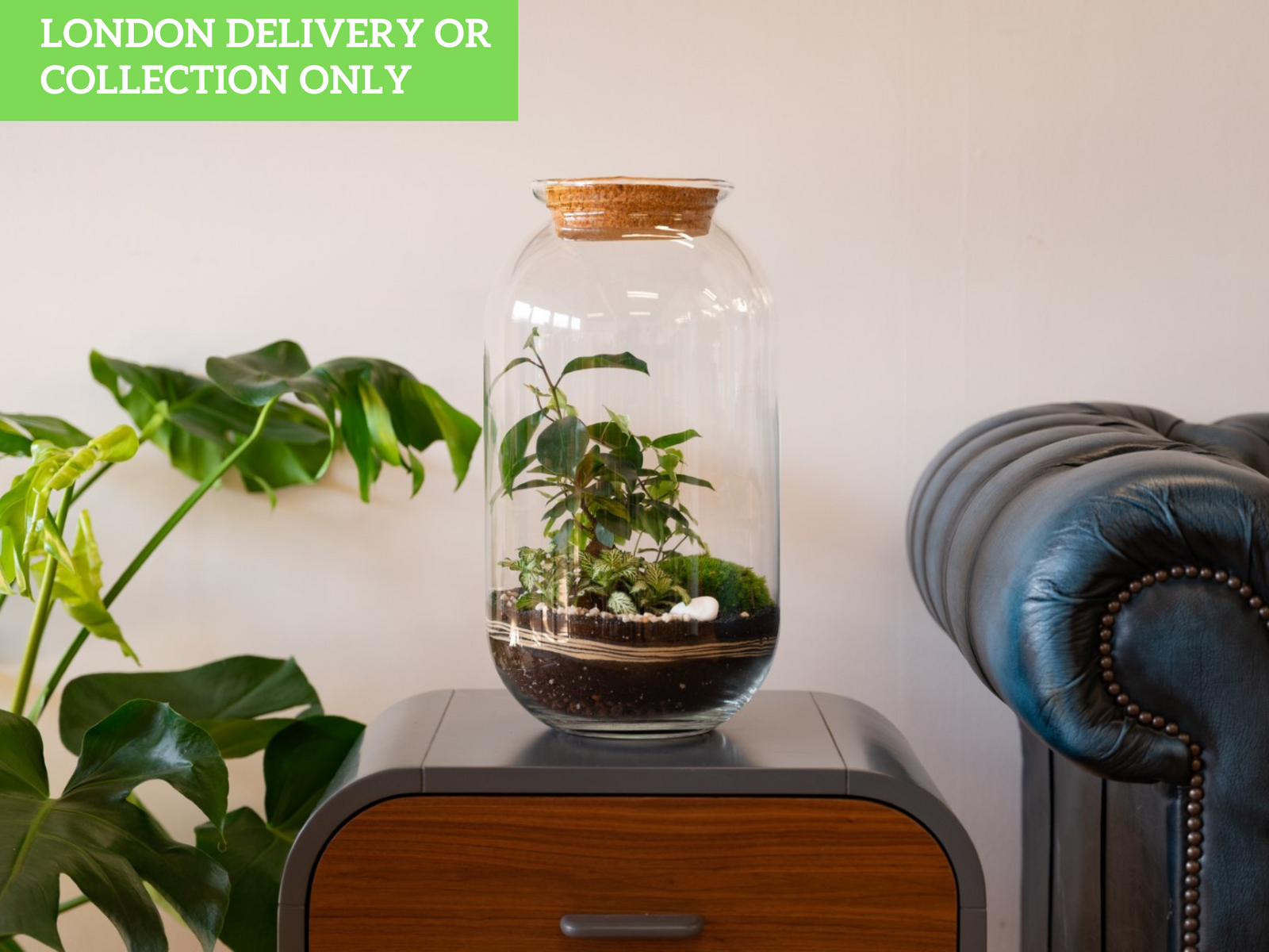 A beautifully arranged terrarium sits on a stylish wooden nightstand, showcasing lush greenery with various plants inside a glass container. In the background, a large leafy plant and a leather sofa add to the cozy indoor atmosphere.