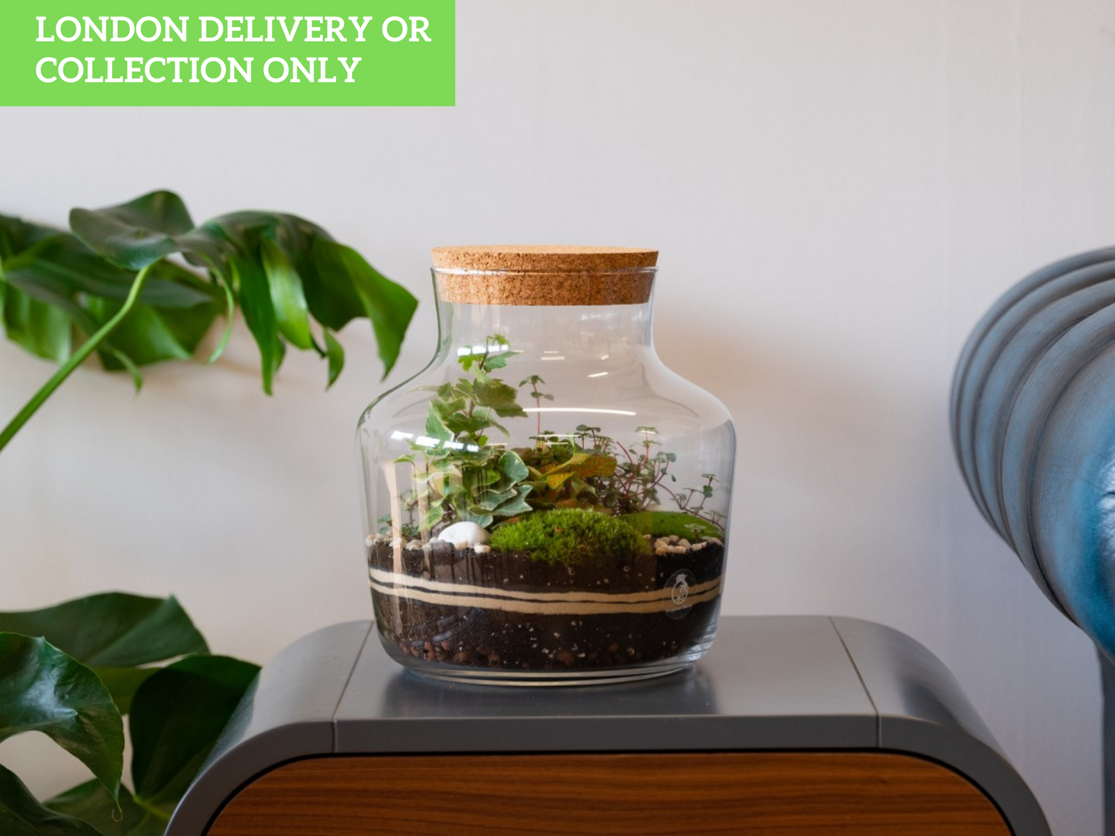 A glass terrarium sits on a wooden surface, featuring various green plants, including moss and small foliage. The terrarium has a cork lid and is accompanied by a green sign indicating London delivery or collection only.