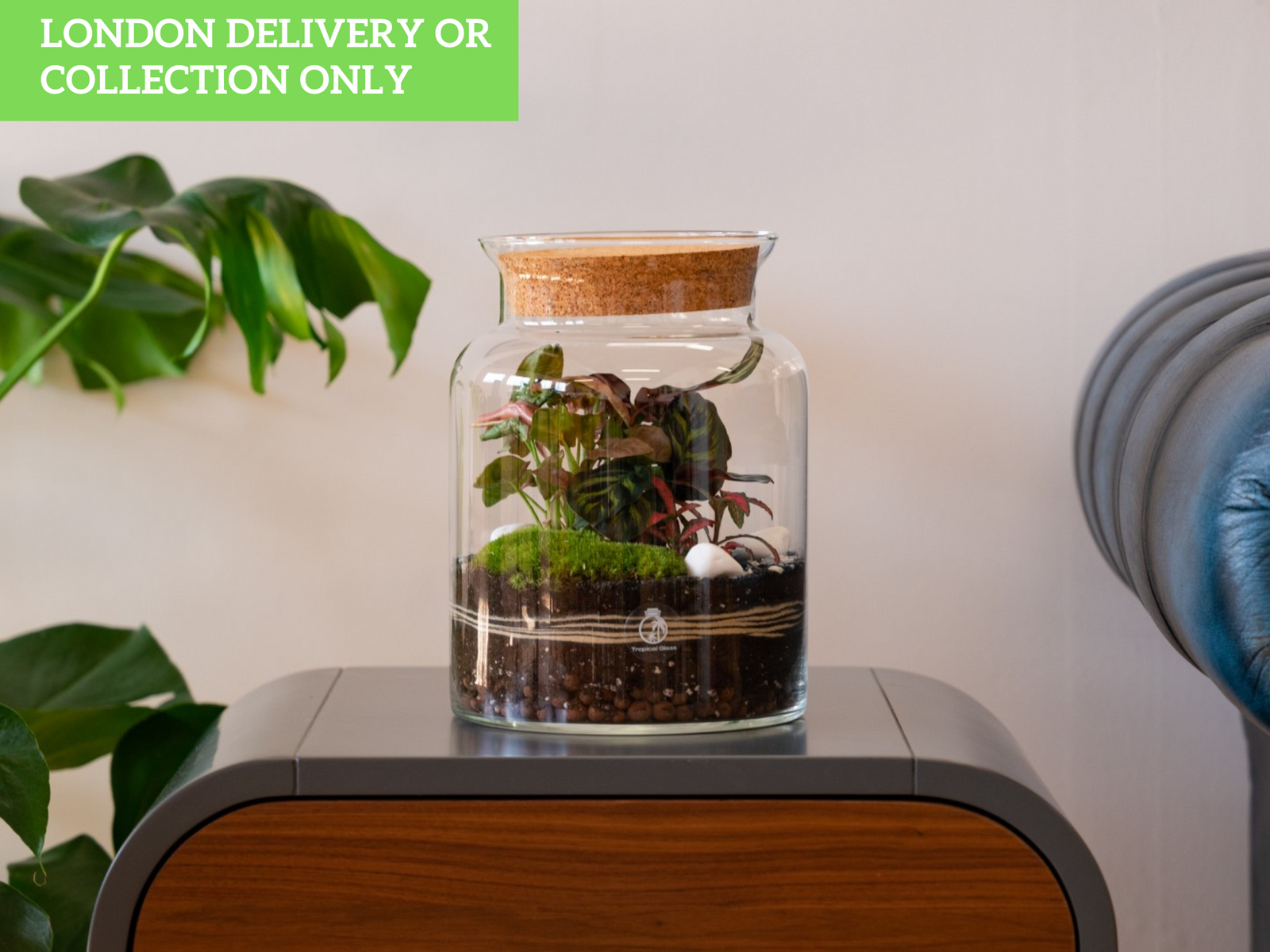 A beautifully arranged glass terrarium sits on a wooden table, featuring a variety of plants, including vibrant green foliage and decorative moss.