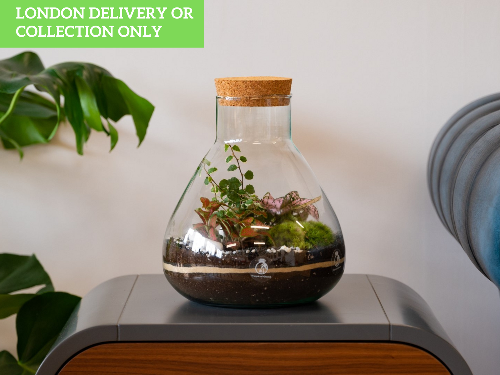 A glass terrarium in a unique flask shape showcases a variety of plants, including Fittonia and moss, layered over soil. The background features a green plant and a stylish wooden surface, with a green sign indicating delivery options.