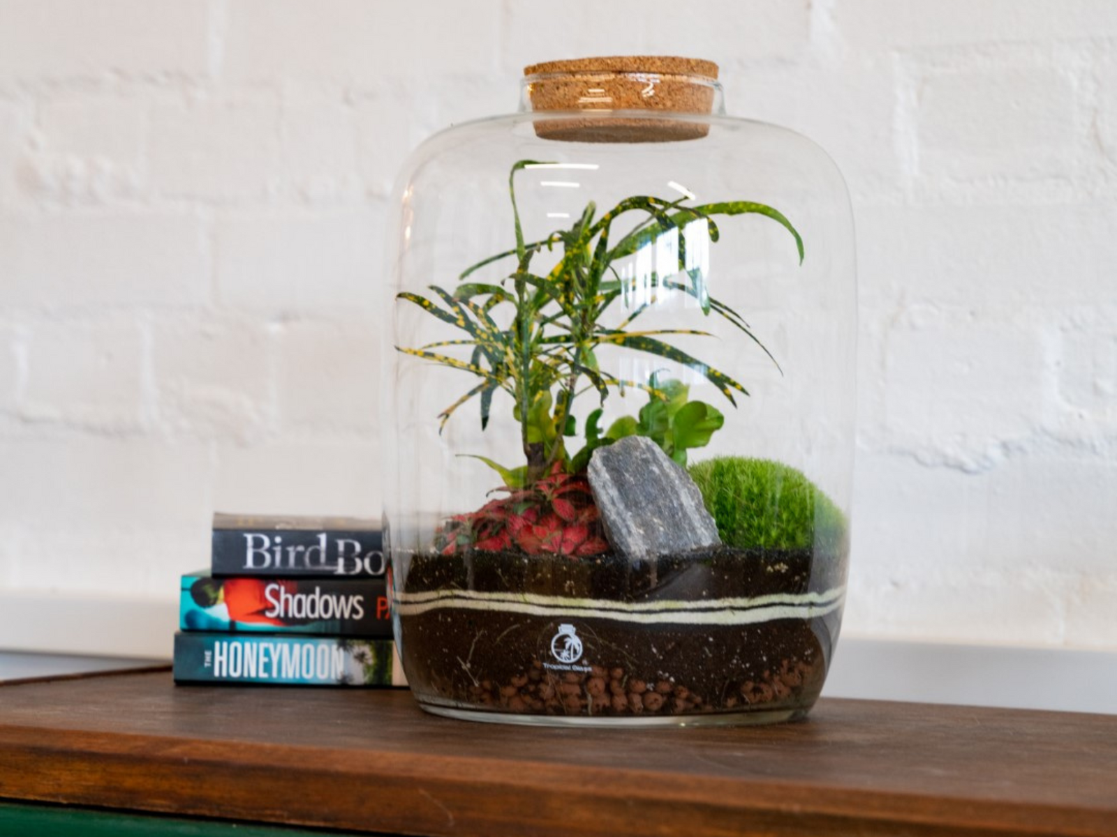 A glass terrarium featuring a vibrant green Fittonia plant, a piece of decorative stone, and lush moss arranged on a layer of pebbles and soil. The terrarium is displayed on a wooden surface alongside a stack of books.