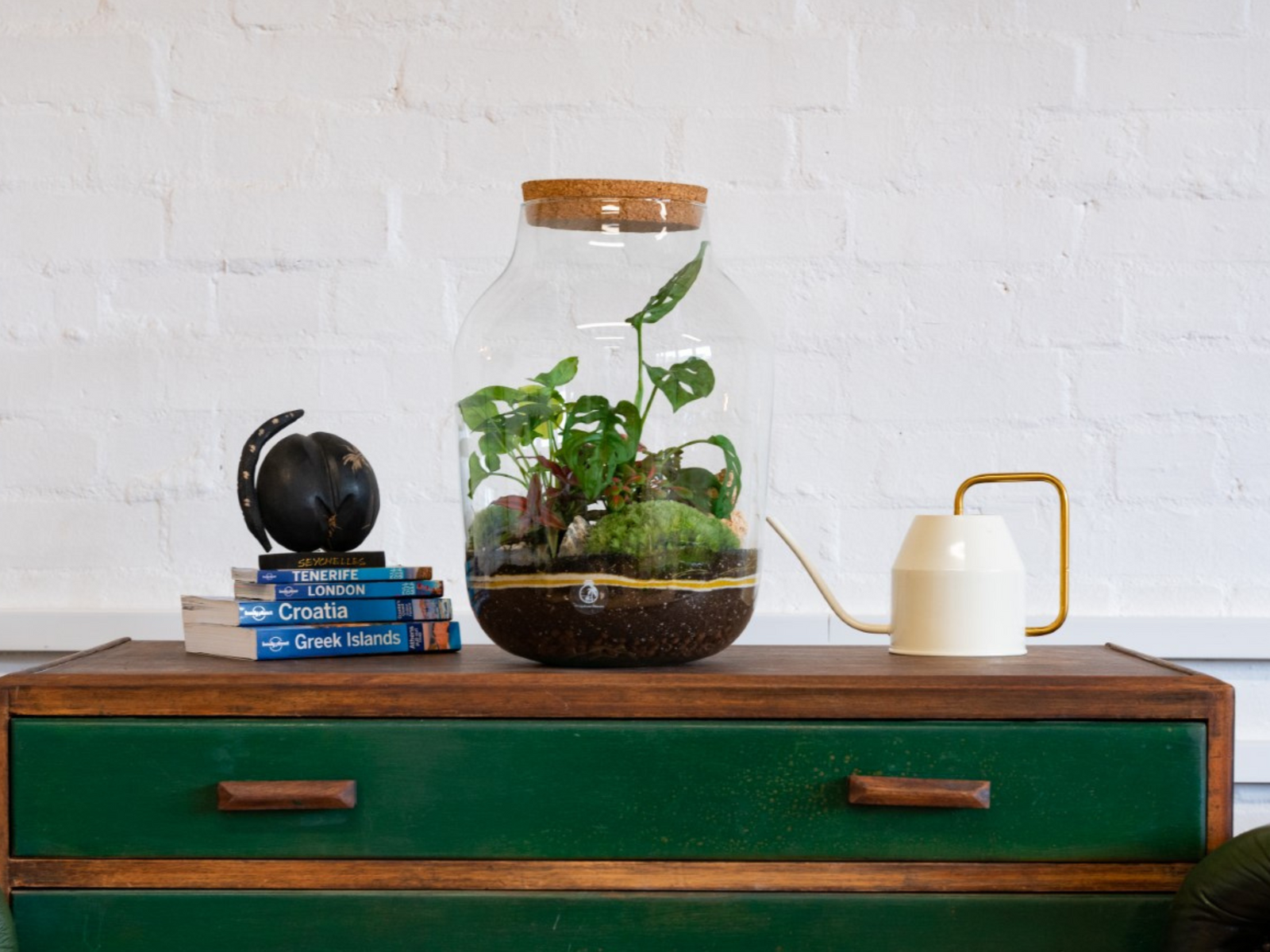 A large glass terrarium sits on a wooden table, showcasing various green plants, including Monstera, surrounded by soil and decorative moss. Next to it, a white watering can.