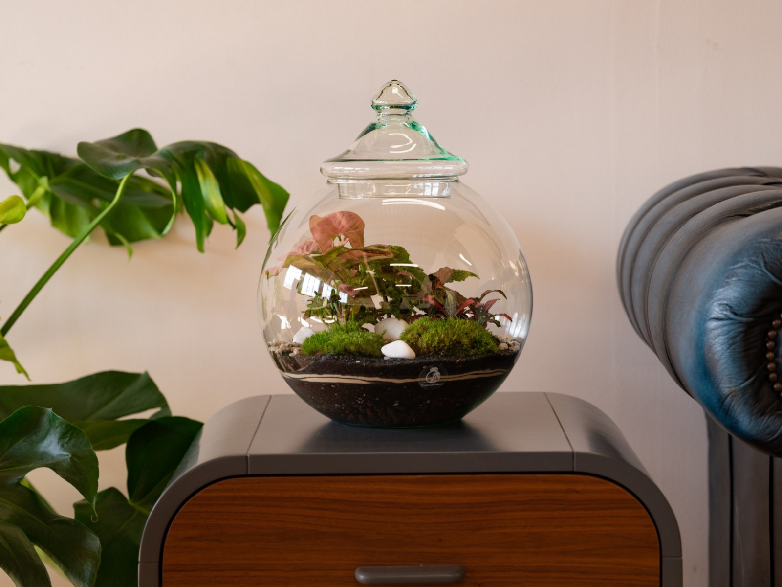 A beautifully crafted glass terrarium sits on a wooden side table, showcasing a variety of lush plants, including vibrant foliage and decorative white stones, all nestled in rich, dark soil and soft green moss.