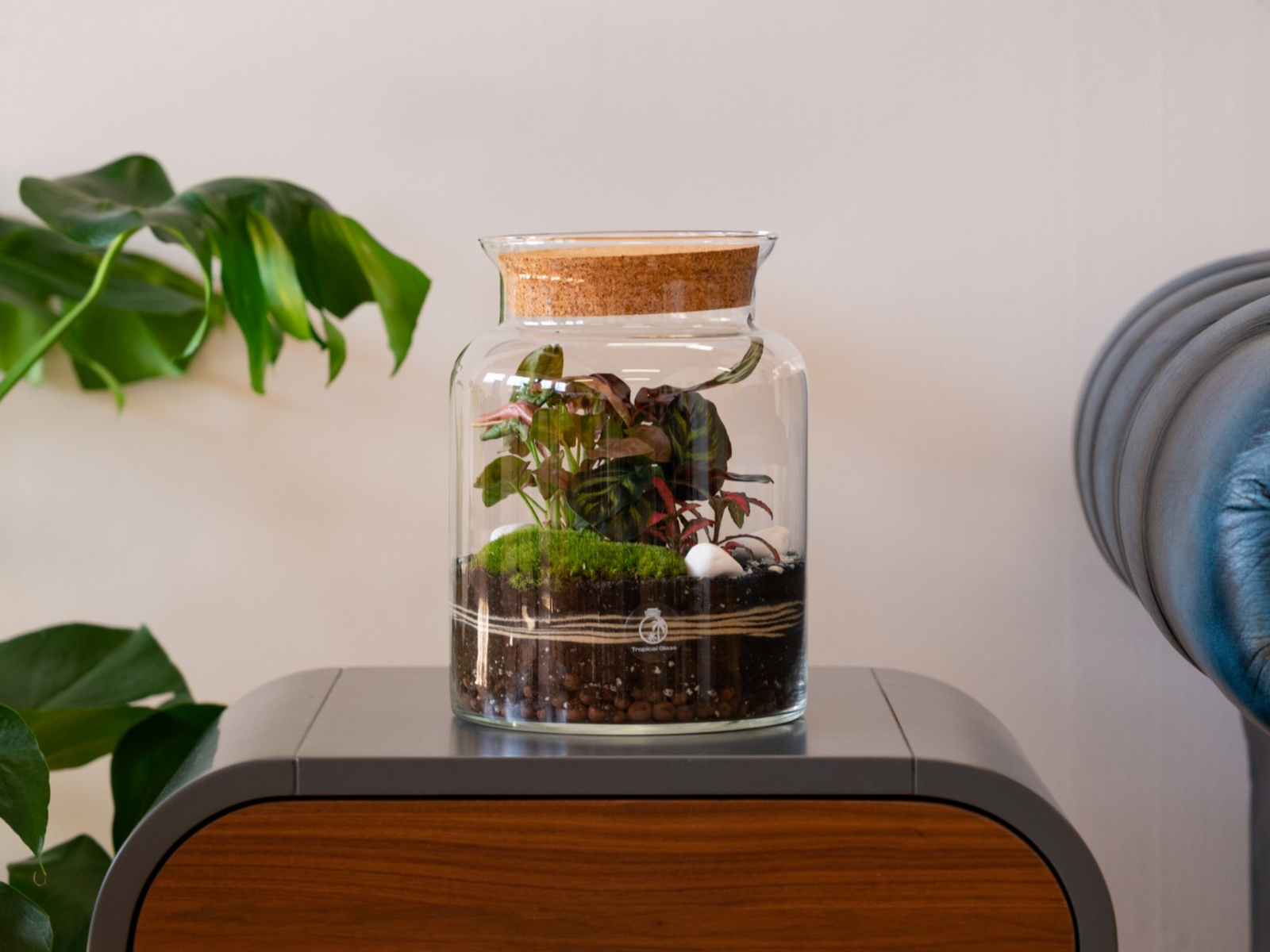 A glass terrarium with a cork lid sits on a wooden table. Inside, vibrant green plants, including a Fittonia, are nestled in dark soil and decorative moss, creating a lush, miniature garden setting against a neutral background.