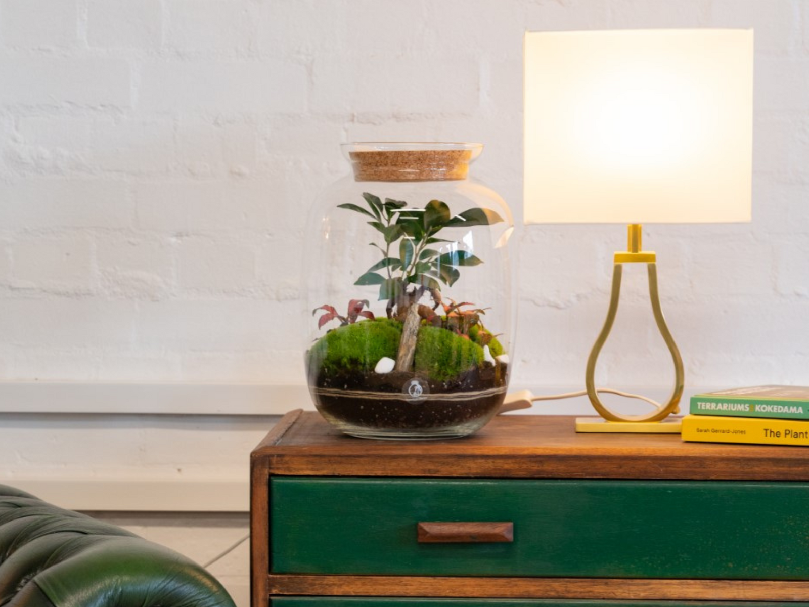 A glass terrarium featuring a Fittonia plant and a Ficus Bonsai, nestled among vibrant green bun moss, sits on a wooden table. Next to it, a modern lamp emits a warm glow, enhancing the cozy ambiance of the setting.