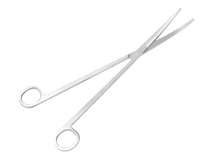 Curved Long Scissors | 25 cm