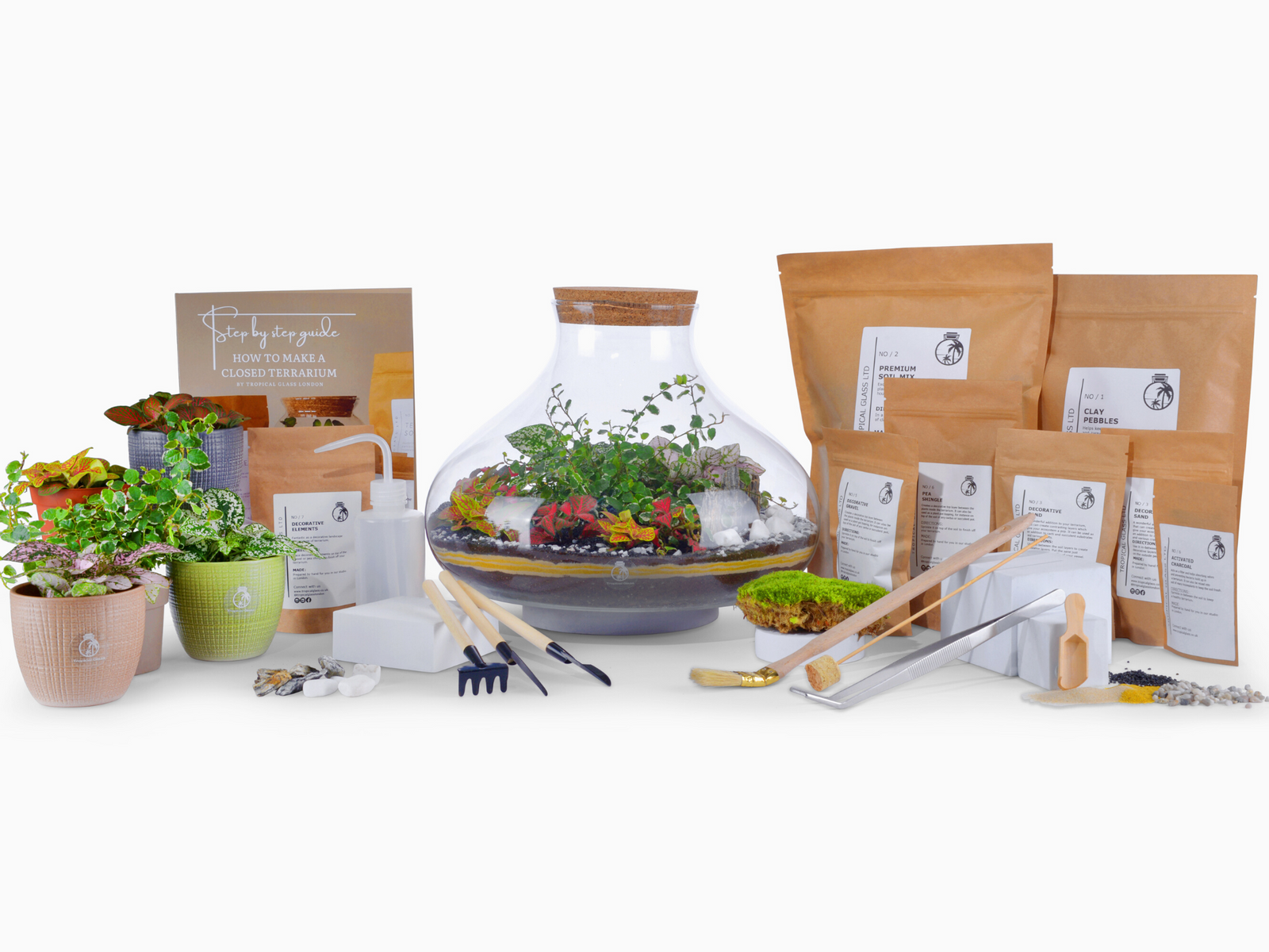 Large Terrarium Kit with Plants and Moss