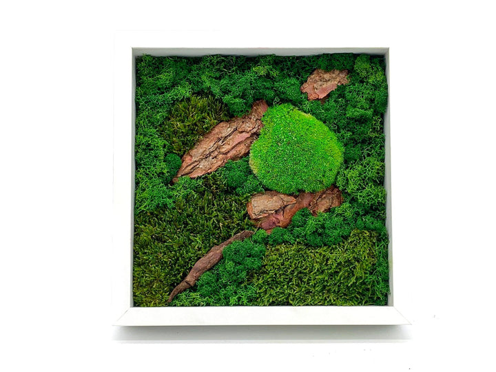 DIY Moss Wall Art | Large - Tropical Glass