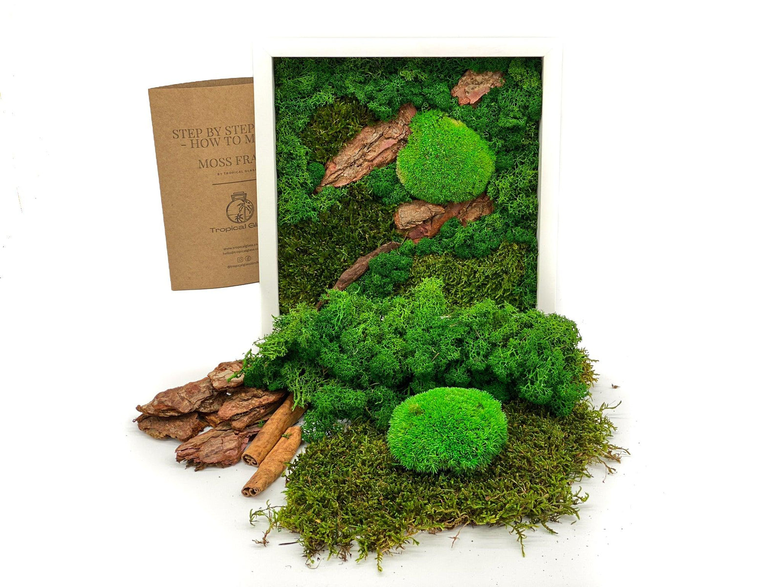 A DIY moss frame wall art kit featuring vibrant green moss, textured natural wood pieces, and a step-by-step instruction booklet. The arrangement showcases a lush, natural aesthetic perfect for home decor enthusiasts.