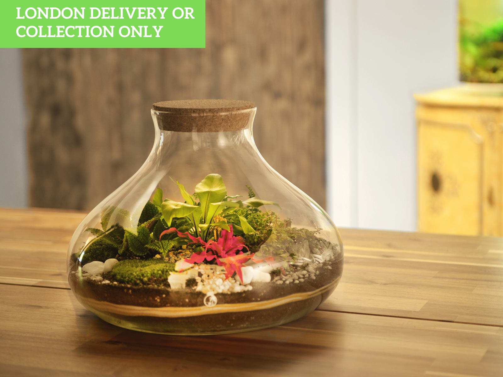 A beautifully crafted terrarium displayed on a wooden surface, featuring various green plants and decorative stones nestled in rich soil.