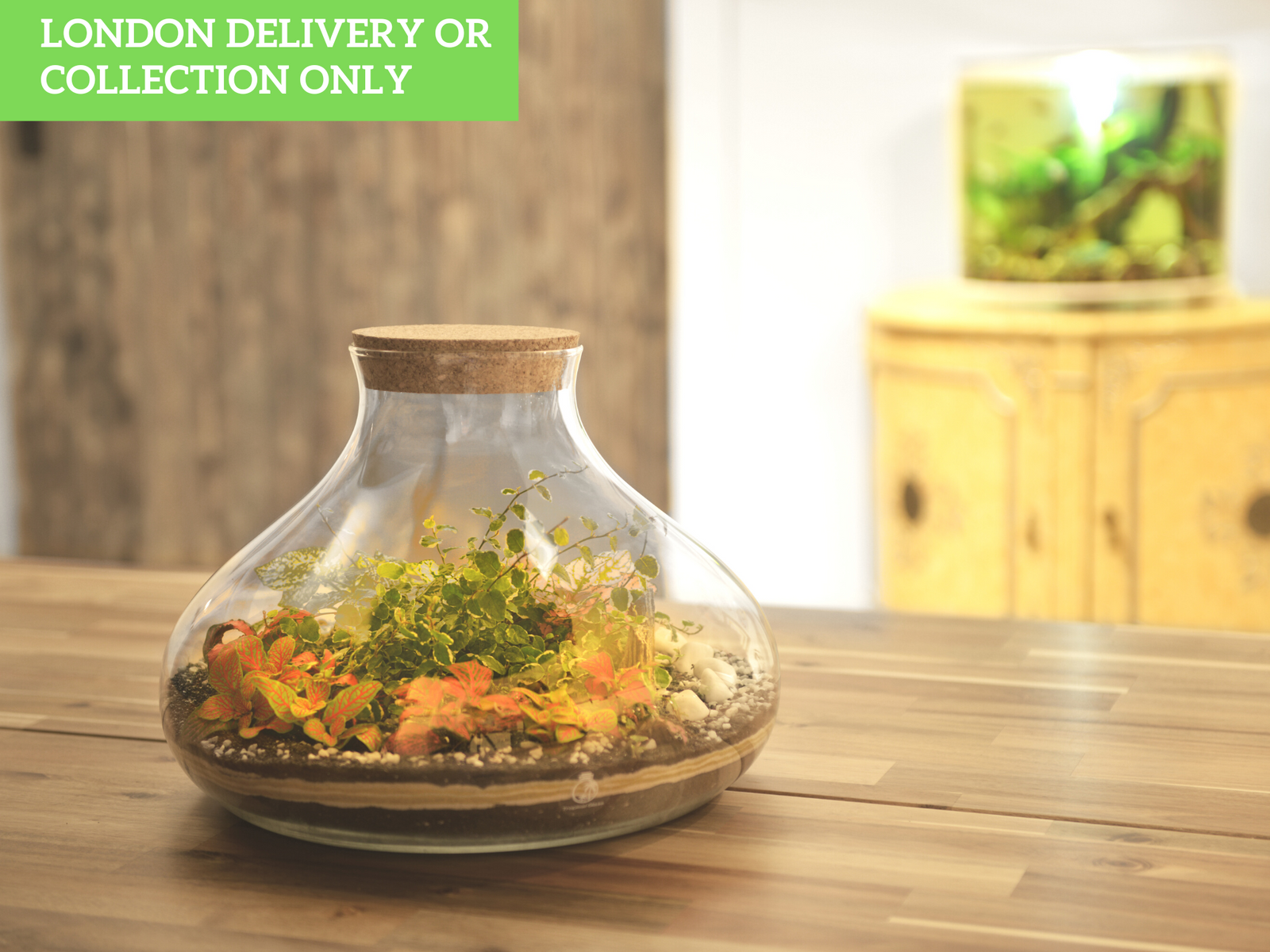 A beautifully crafted glass terrarium sits on a wooden table, showcasing a vibrant arrangement of plants, including colorful foliage and decorative stones.