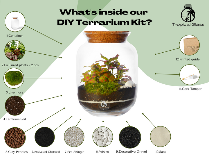 A picture of a 'Paris' Closed DIY Terrarium Kit with Container, Plants and Decorations 22 cm in a Tropical Glass jar.
