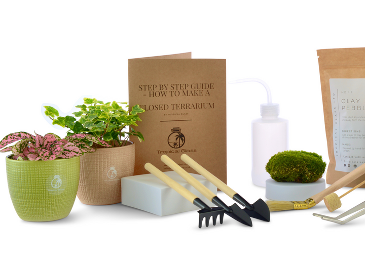 Small DIY Terrarium Starter Kit with Optional 2 Plants and Moss | Suitable for Jar with a base diameter from 12cm to 16 cm.