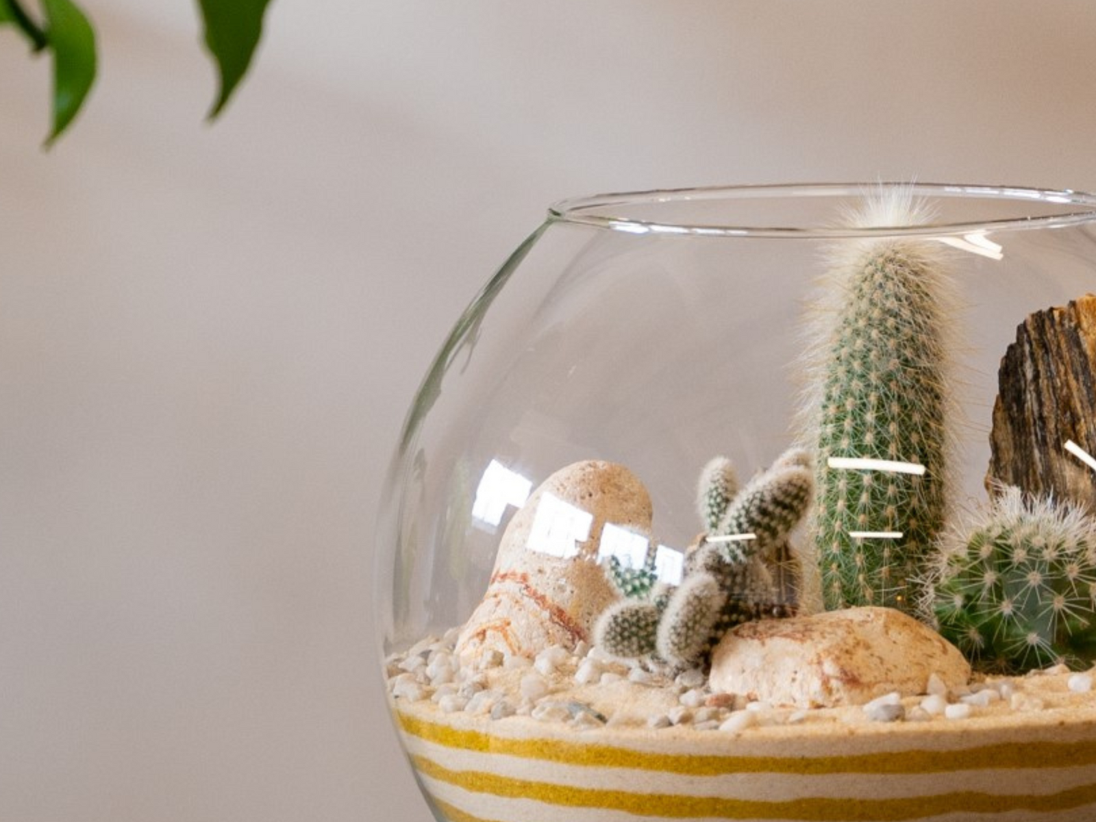 A close-up of a glass terrarium featuring various cacti and succulents, with a sandy base and small decorative pebbles. The pebbles are mixed with larger stones, creating a natural landscape within the terrarium.