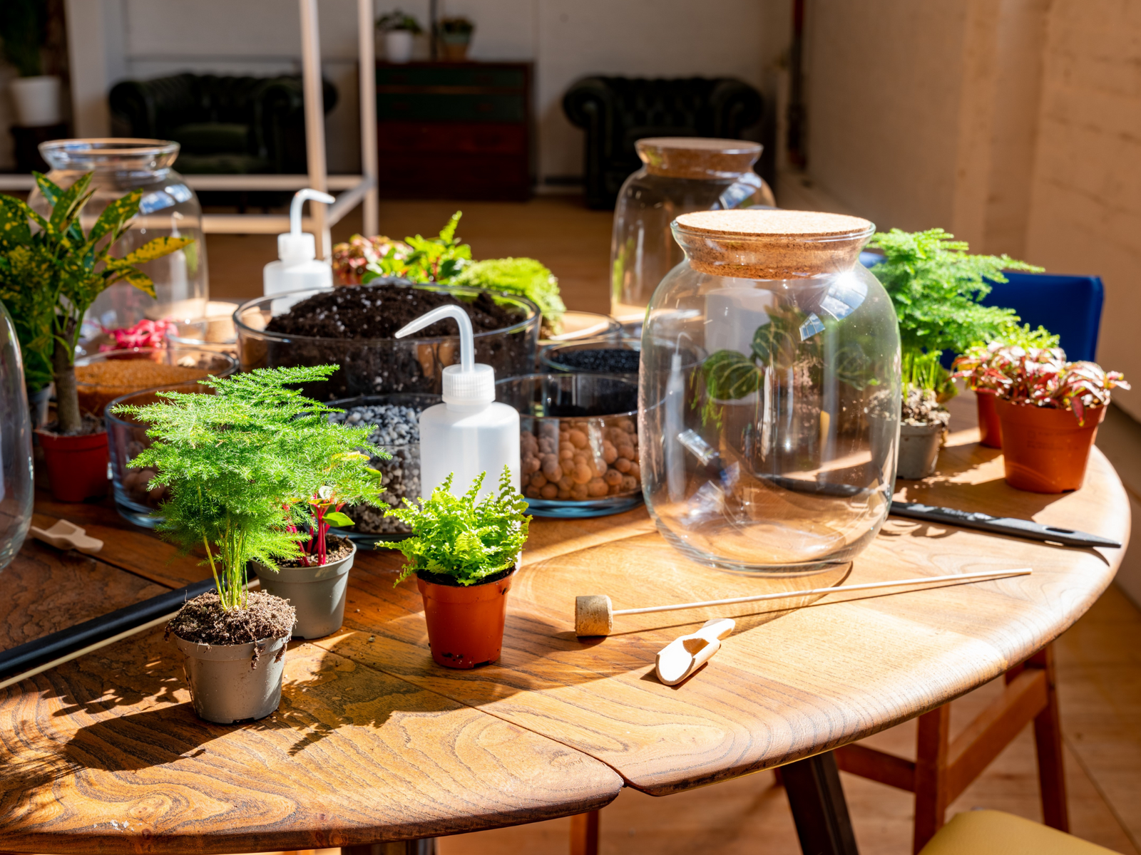A wooden table is set up for a terrarium workshop, featuring various potted plants, soil, and materials like a glass jar and tools for crafting.