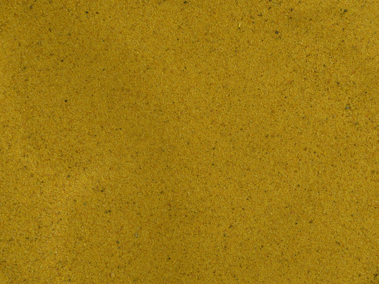A close-up view of a fine, golden-yellow powder displayed against a neutral background. The texture appears smooth and slightly grainy, with tiny specks visible throughout the powder.