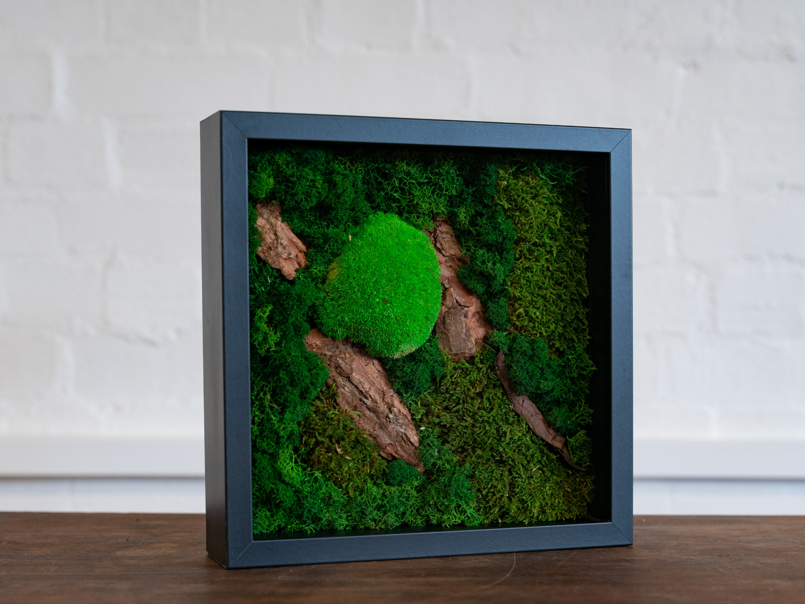 A modern shadow box featuring a vibrant green moss arrangement, complemented by natural bark pieces. The design showcases a circular patch of moss against a textured backdrop of lush greenery, creating an eye-catching natural decor piece.