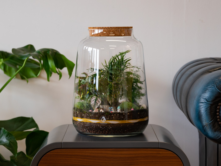 Closed DIY Terrarium Kit with 35cm Jar 'Pisa' | Lantern Shape