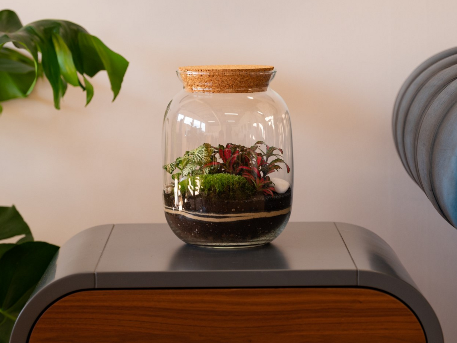 A Tropical Glass Closed DIY Terrarium Kit with Container, Plants and Decorations 22 cm | 'Paris' on top of a table.