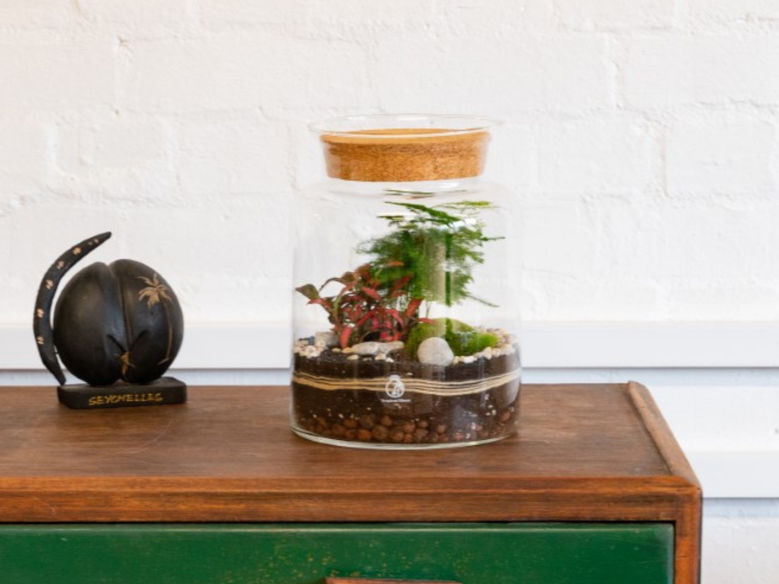 A closed glass terrarium filled with various plants, including ferns and small decorative stones, sits on a wooden table. Beside it, a decorative black sculpture resembling a crescent moon adds an artistic touch to the scene.