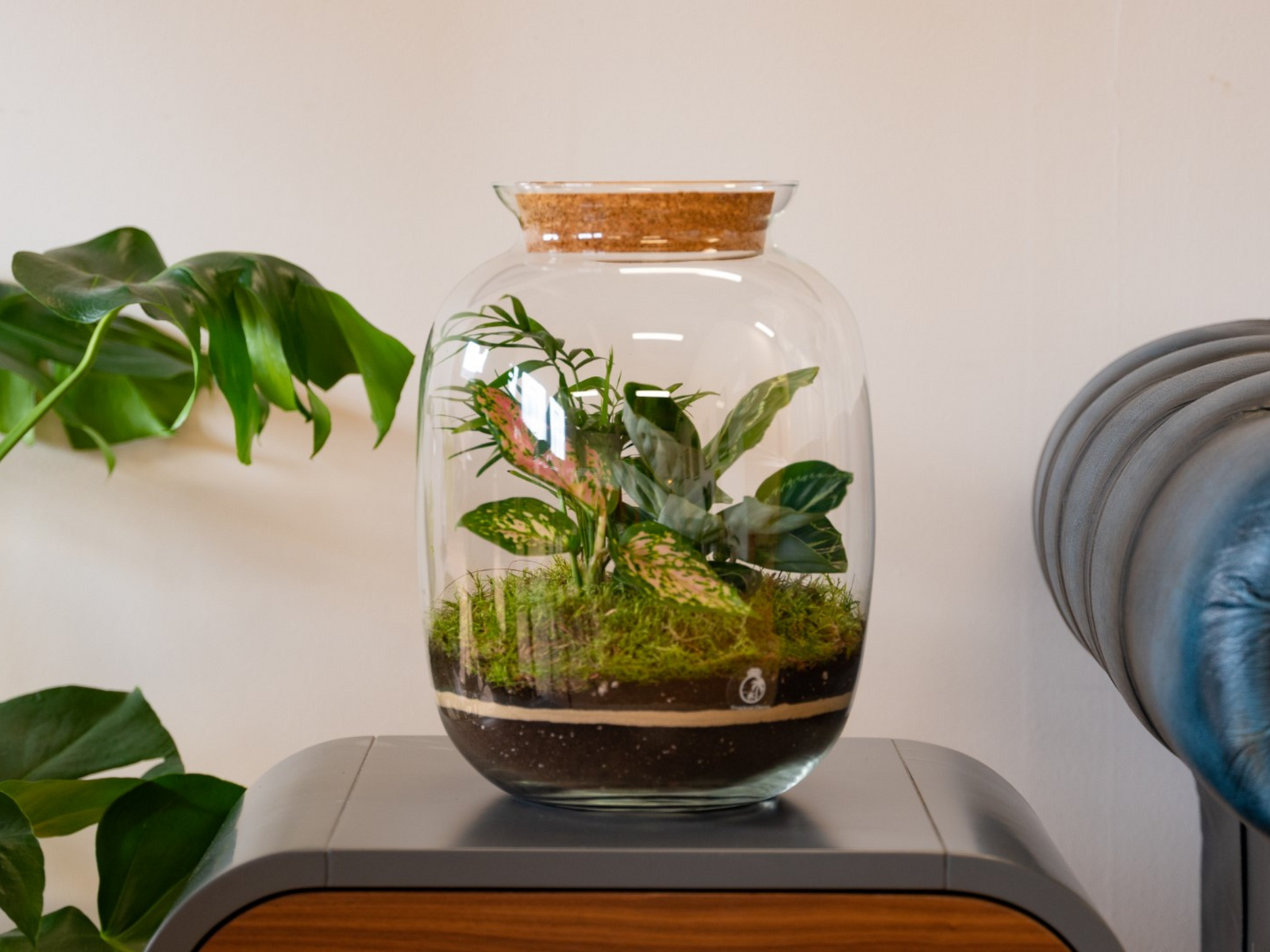 A large glass terrarium jar with a cork lid contains various green plants, including ferns and moss, arranged on a layered substrate of soil and decorative stones. The terrarium is placed on a wooden surface with a plant in the background.