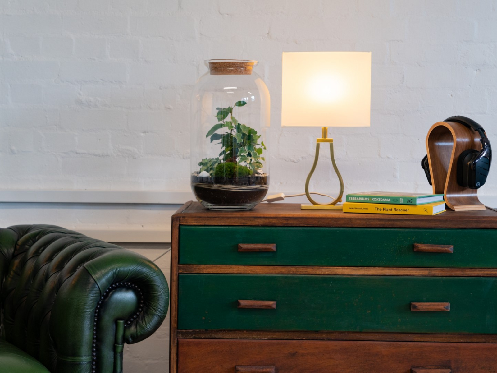 A stylish terrarium featuring a variety of plants, including a small bonsai tree, is displayed in a tall glass container on a wooden chest of drawers.