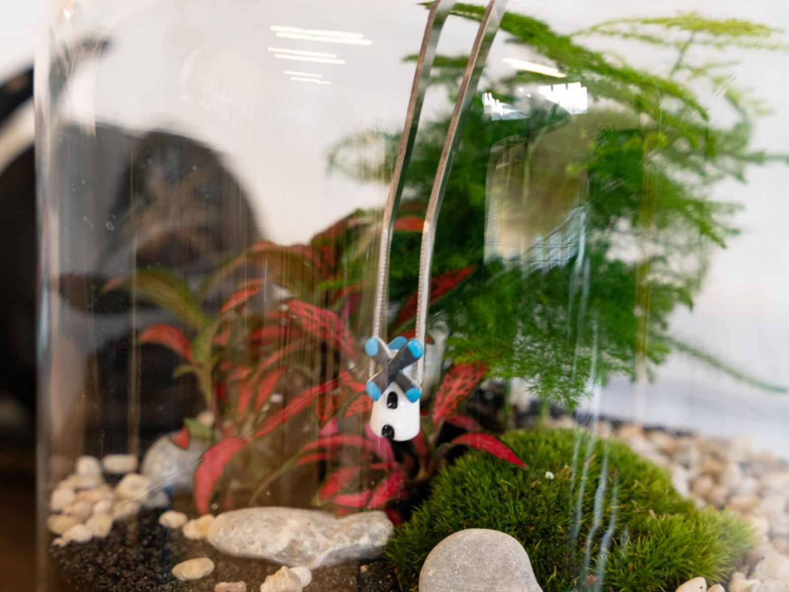 A close-up of a terrarium featuring lush green plants, decorative pebbles, and a small blue and white figurine hanging among the foliage.