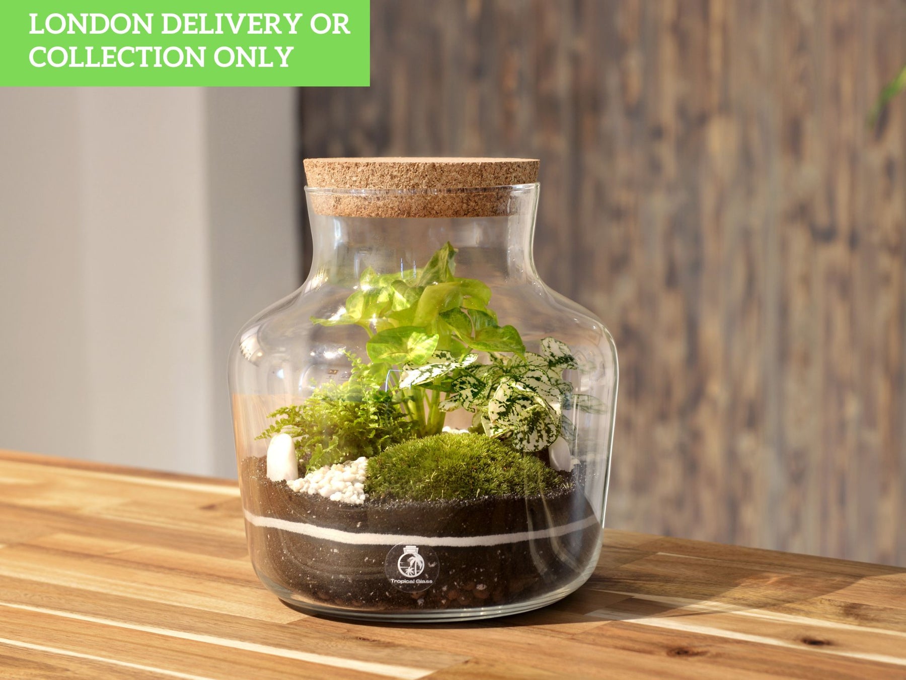 planten terrarium Ready-Made Terrarium 'Helsinki'